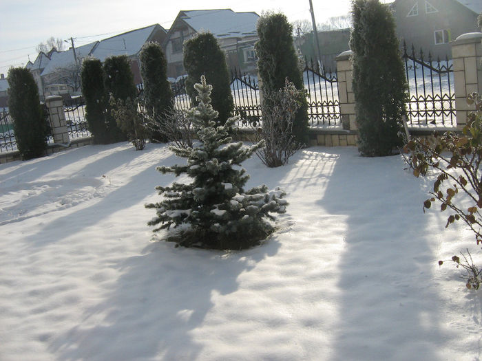 iarna in satele noastre 013 - Iarna pe ulita dec 2013