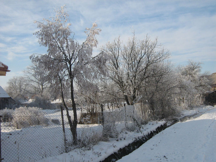 iarna in satele noastre 014 - Iarna pe ulita dec 2013