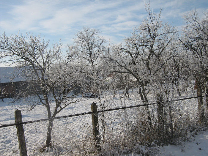 iarna in satele noastre 015 - Iarna pe ulita dec 2013
