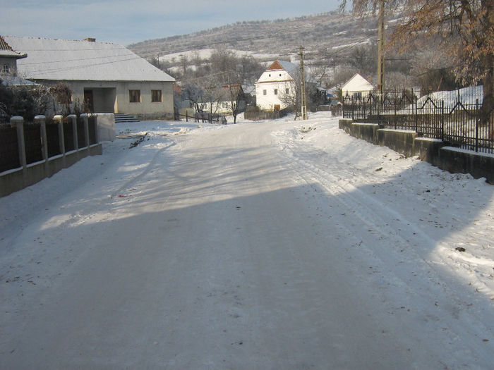 iarna in satele noastre 018 - Iarna pe ulita dec 2013