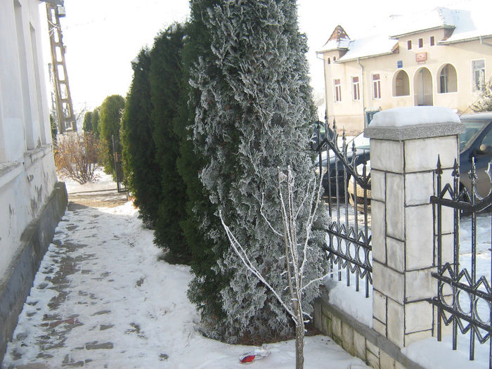 iarna in satele noastre 019 - Iarna pe ulita dec 2013
