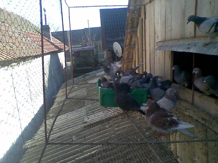 11122013(019) - La Scaldat