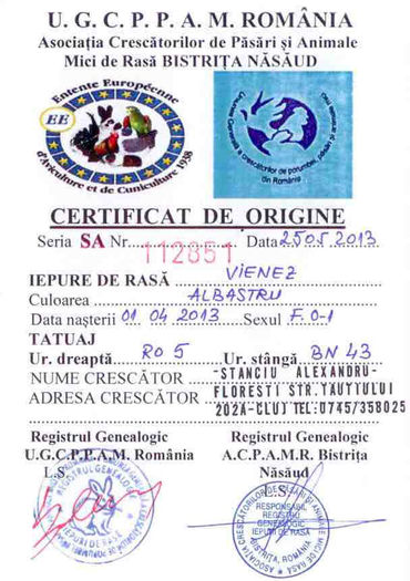 Cert. orig. F1 albastru vienez