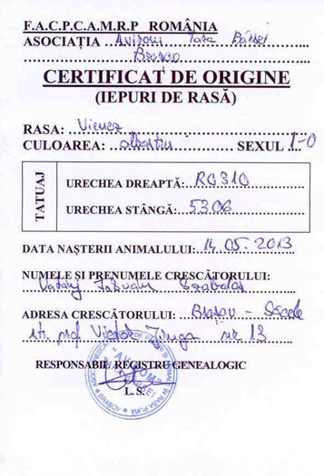 Cert. orig. M1 albastru vienez - iepuri albastru vienez