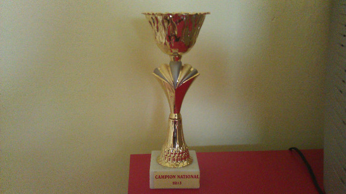 Campion Sannicolau Mare 2013 - 4-COMPETITII