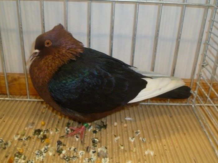 212