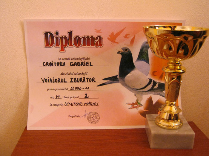 LOCUL 2 DEMIFOND 2013 - CUPE DIPLOME