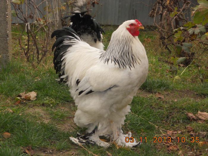 http:mariusvinga.sunphoto.ro