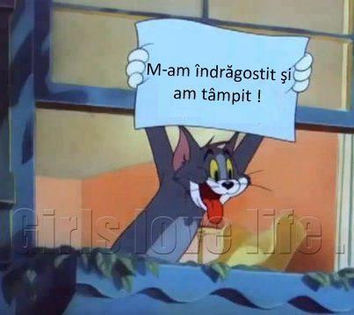 181008_594915887203734_1600676858_n