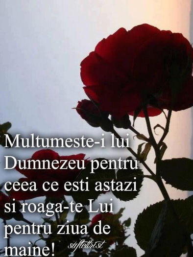 405699_579294432099213_1372067484_n - pozeee