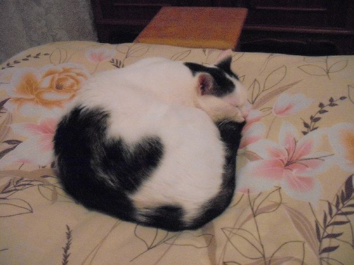DSCF1763 - FELIX