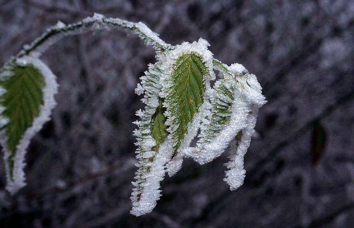 februarie - LUNA FEBRUARIE-A DOUA LUNA A ANULUI