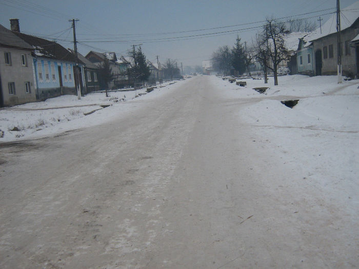 iarna in satele noastre 001 - Iarna pe ulita dec 2013