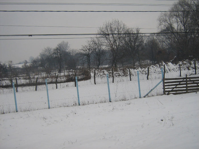 iarna in satele noastre 004 - Iarna pe ulita dec 2013
