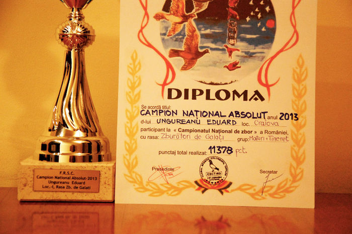 CAMPION NATIONAL ABSOLUT MATURI+TINERET 2013