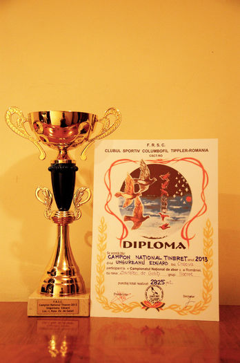 CAMPION NATIONAL TINERET 2013 (2) - TROFEE ZBOR 2013