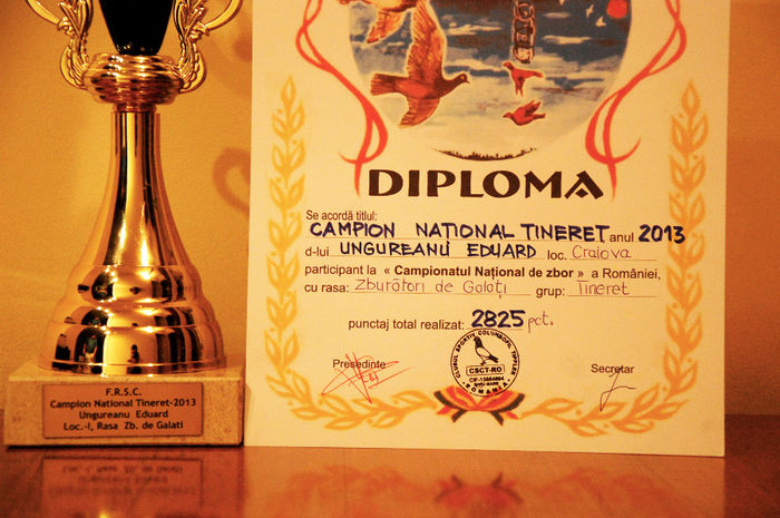 CAMPION  NATIONAL TINERET 2013 (3) - TROFEE ZBOR 2013