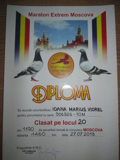 Ioana Marius Viorel - Diplome si Medalii luate la Moscova 2013