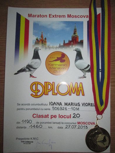 Ioana Marius Viorel - Diplome si Medalii luate la Moscova 2013