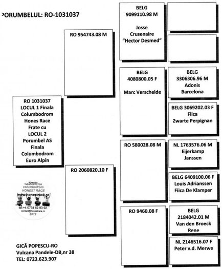 Ro 1031037-2013 M Loc 1 Finala - Perechea 01