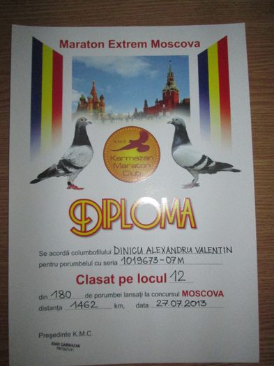 IMG_1017 - Diplome si Medalii luate la Moscova 2013