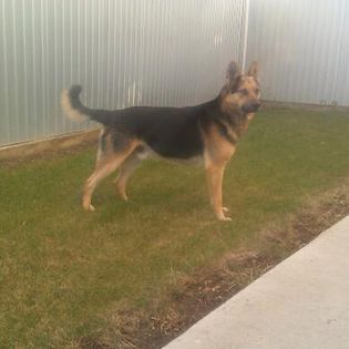 IMG_20131222_152409-1