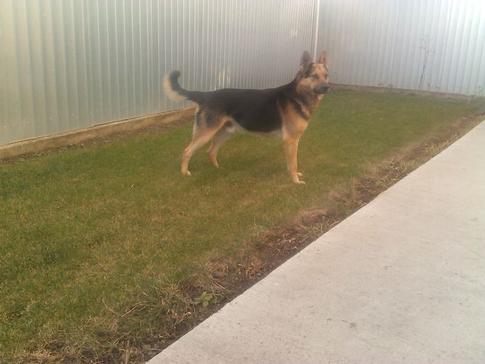 IMG_20131222_152409 - Max