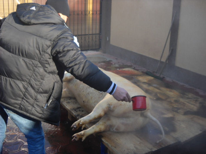 azi 22 decembrie 2013