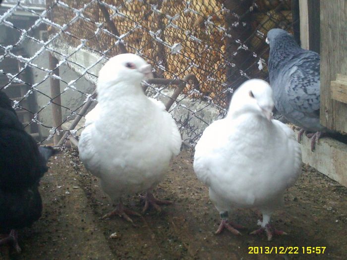 PICT0018
