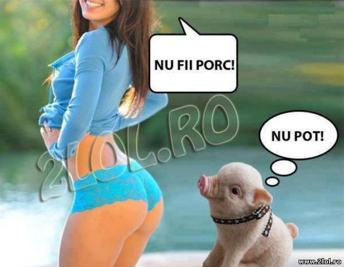 615563464 - POZE HAIOASE CU PORCI