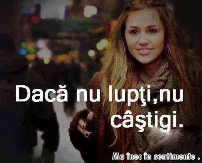 1476320_1440597649486376_1659628295_n - Poze
