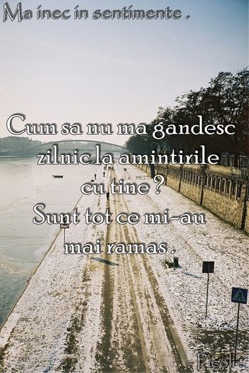 1483387_1440237189522422_1713073271_n - Poze