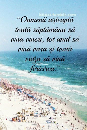 1488273_1439999469546194_558853757_n - Poze