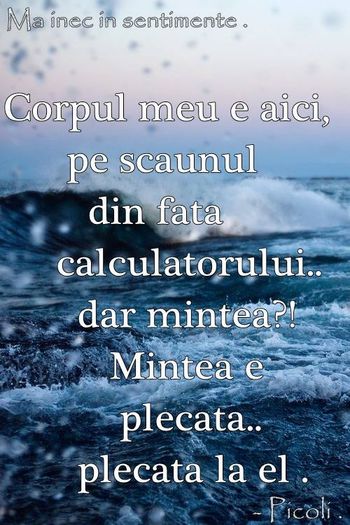 1510521_1440134282866046_1763941963_n - Poze
