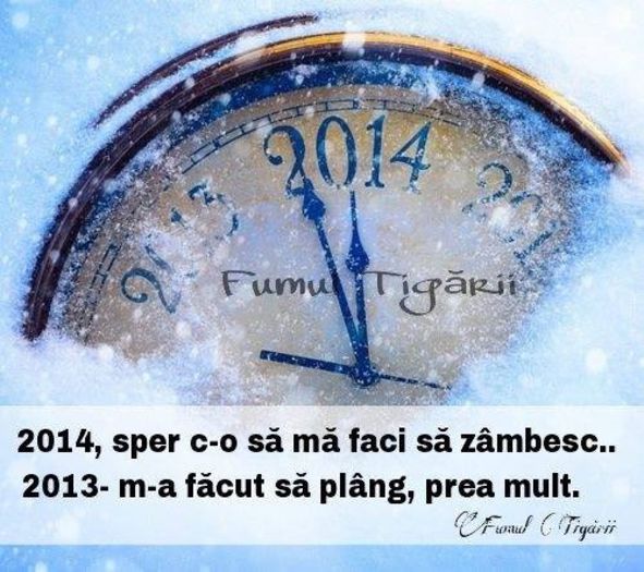 1511318_1439957782883696_1425361212_n - Poze