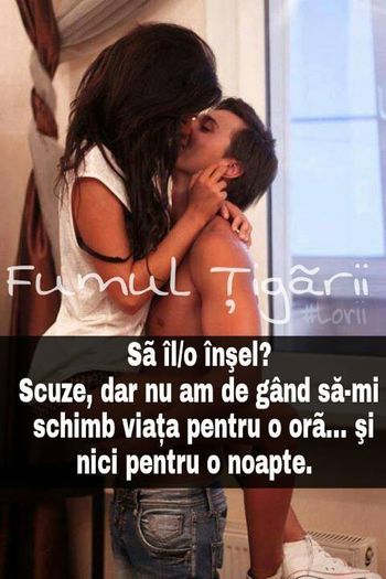 1525060_1439957492883725_1638560919_n - Poze