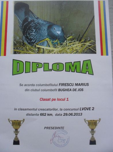 SDC14724 - DIPLOME sezon 2013