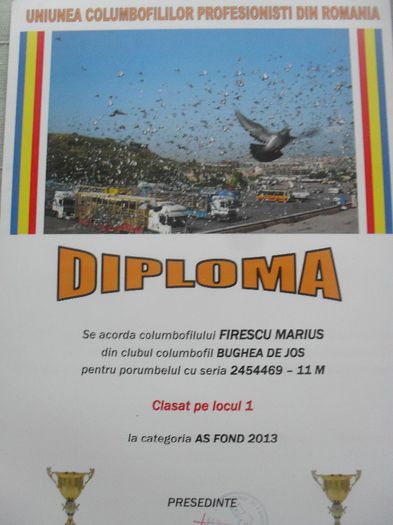 SDC14726 - DIPLOME sezon 2013