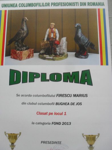 SDC14729 - DIPLOME sezon 2013