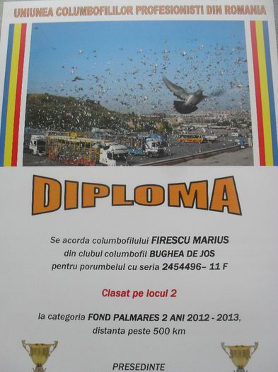 SDC14731 - DIPLOME sezon 2013