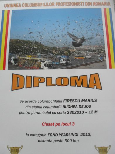 SDC14733 - DIPLOME sezon 2013