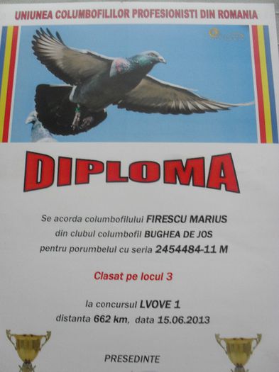 SDC14735 - DIPLOME sezon 2013