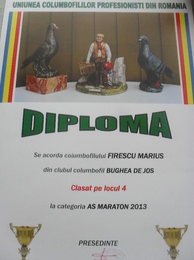 SDC14738 - DIPLOME sezon 2013