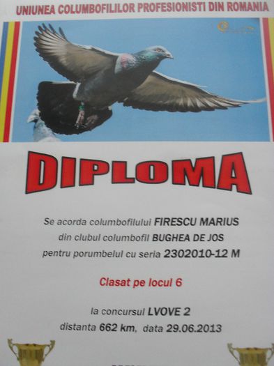 SDC14737 - DIPLOME sezon 2013