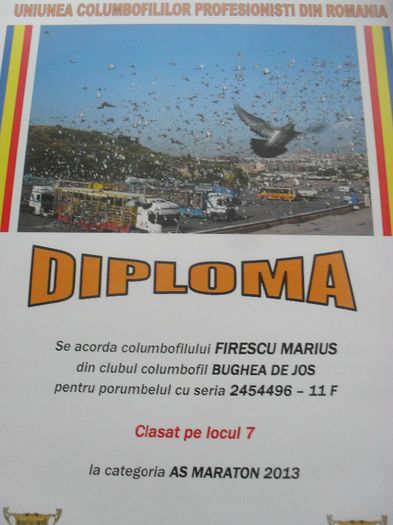 SDC14740 - DIPLOME sezon 2013