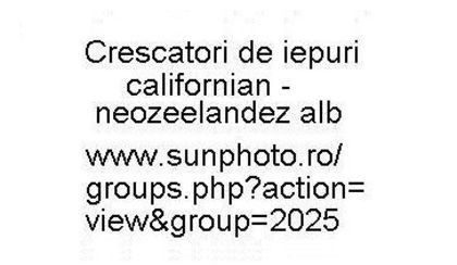 BENNER - 11 Lista crescatorilor de iepuri californian-neozeelandez alb