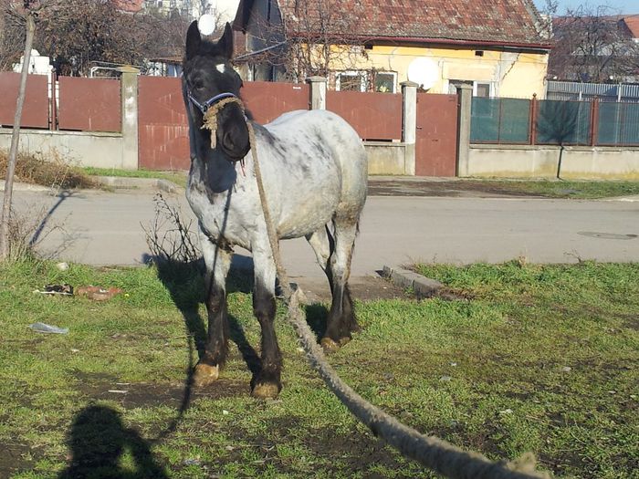 20131224_114646