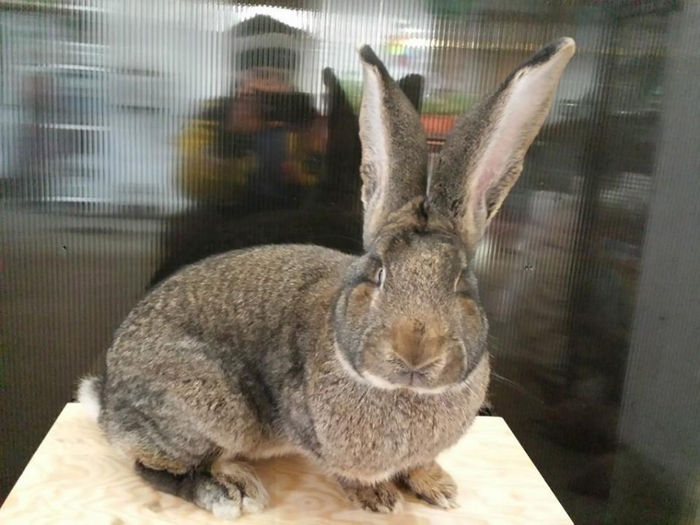 601638_634091869981111_9671992_n