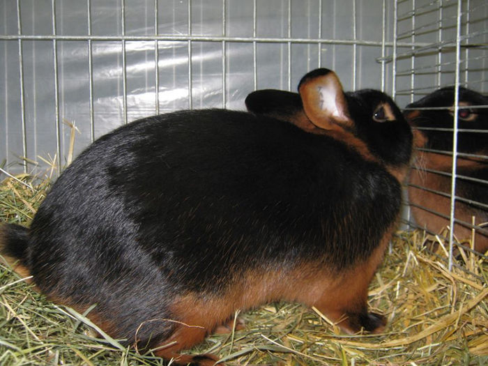 1486911_634967479879344_1653073797_n