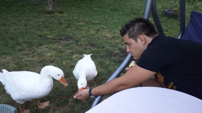 1185226_474971835932919_402660399_n